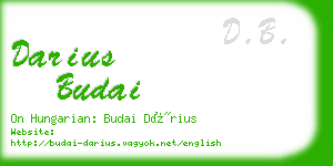 darius budai business card